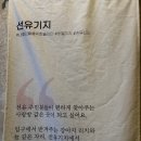 우리들의비밀기지 이미지
