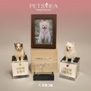 보람 피트니스 이미지