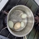 자연보호헌장비 | 포천 가족펜션 추천: 아이와 가기 좋은 민토리숲 후기 2 (숲체험, 자연감각 프로그램)