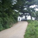 유전1리 이미지