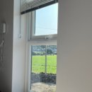 스테이 호자 이미지