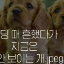 지금 이미지