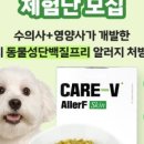 브이케어 이미지
