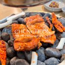 별미춘천닭갈비-신평점 | 춘천 닭갈비 맛집 내돈내산 참나무숯불닭갈비 분점 방문 후기