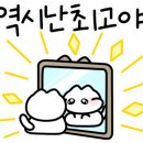 오로라 캣 이미지