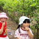 동부초등학교병설유치원 이미지