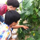 운리초등학교 이미지