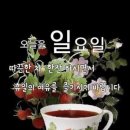 개념과 인식의 차이 이미지