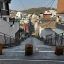 강서구-35 이미지