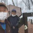 라인미디어 이미지