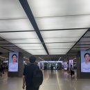 부산 | [유나이티드 항공] 부산 → 시카고 후기