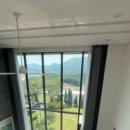 디나우스 이미지