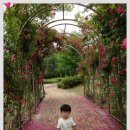 달미공원 이미지