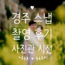 경주 한복스냅 촬영 후기 사진관 시선 작가님과 함께한 경주 겹벚꽃 스냅