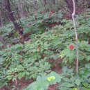 태기산농장 이미지