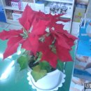 글사랑방 이미지