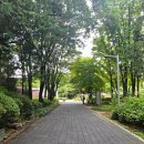 매헌 | 양재 매헌시민의숲 야외 웨딩 하객 후기