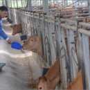 이리한우농장 이미지