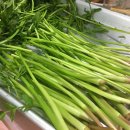 청정미나리영농조합법인 이미지