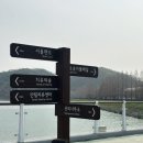 하남시청 옆 경관광장 | 서울대공원 벚꽃 명소, 봄꽃 축제 | 서울 근교 벚꽃, 4월 개화 상황 후기