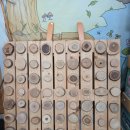 숲쟁이협동조합 이미지