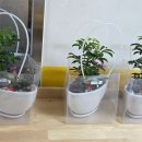 어곡초등학교 병설유치원 이미지