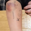 남성농장 이미지