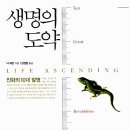 생명의 분출 이미지