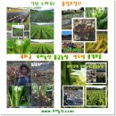 이성규농장 이미지