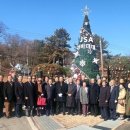 “다시 ‘크리스마스 정전’의 기적을”… DMZ 세계 평화 축제 이미지