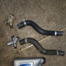 라제카센타 이미지