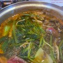 1987신샤브 마포점 이미지