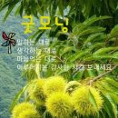 알품는 마을