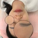 담플레닝 네이버블로그