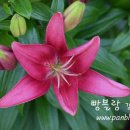. 이미지