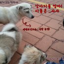 칠성노래연습장 이미지