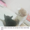 귀로 순대국 | 8화. 마지막 페이지를 향해