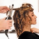 미용사자격증 이미지