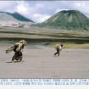 영상컬럼 [2004/06/13 日] 이미지