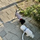 북앤브루1012