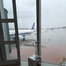 아시아종합종합정비 | 중국남방항공 기내식과 좌석 탑승기 (ft.C919)