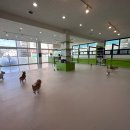 몽블리 애견카페 이미지