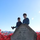 화산-05 Daum카페
