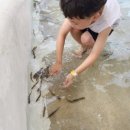 (주) 피싱파크 진산각 이미지