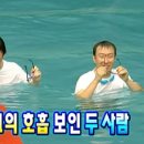 제주많은곰