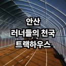 안산 와~ 스타디움 | 겨울철 러너들의 천국 안산 와스타디움 비닐하우스 러닝 트랙 후기 (26년 2월 개방일)