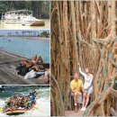 바다세상 이미지