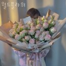 월드플라워 이미지
