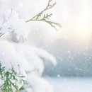 슈필라움 이미지