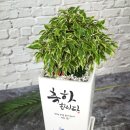 영원칼라인쇄